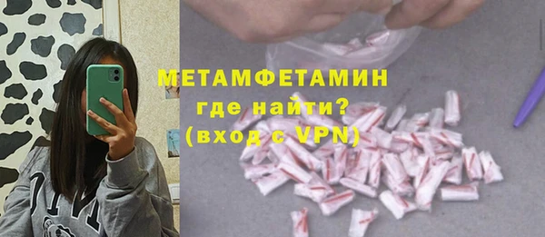 прущие грибы Дмитровск