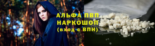 прущие грибы Дмитровск