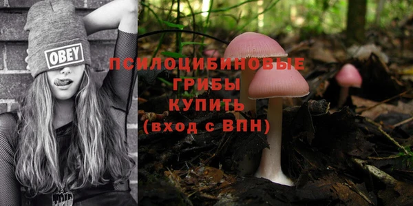 каннабис Дмитров