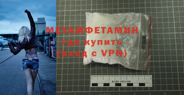 прущие грибы Дмитровск