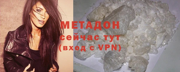 прущие грибы Дмитровск